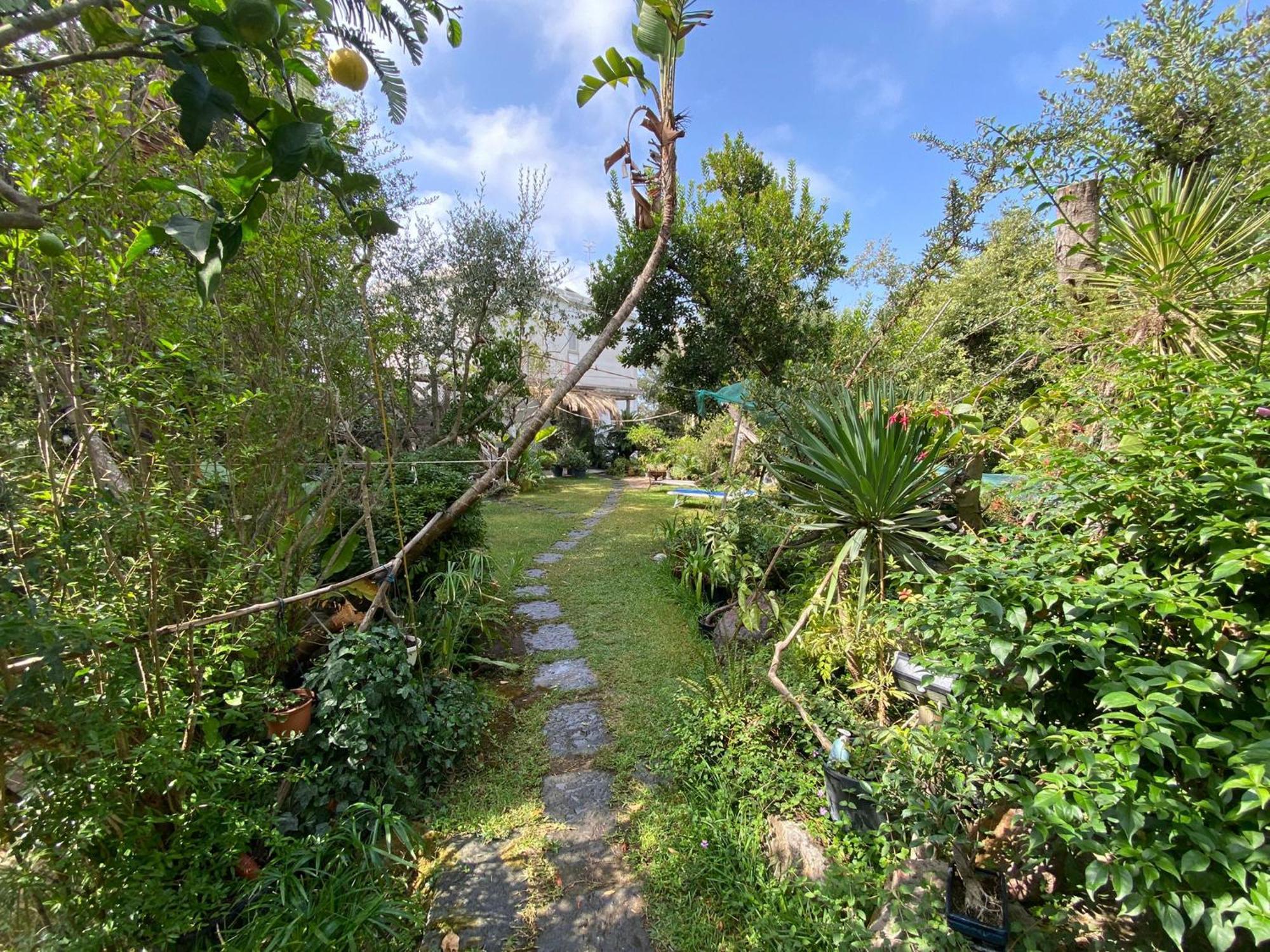 Le Dimore Di Zaro - Green Paradise Forio di Ischia Cameră foto