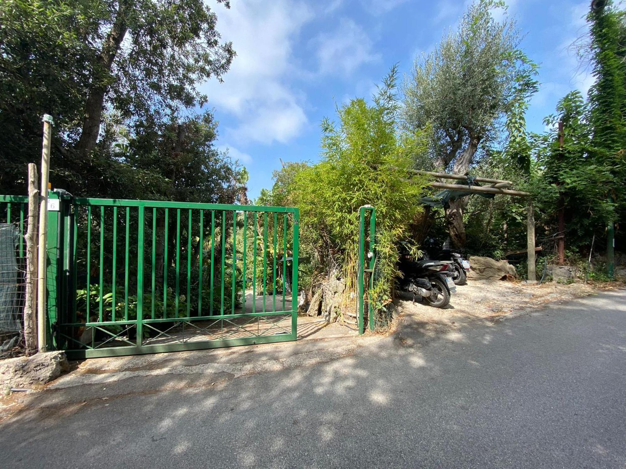 Le Dimore Di Zaro - Green Paradise Forio di Ischia Cameră foto